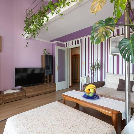 Apartment Josephine Ρόβινι Εξωτερικό φωτογραφία
